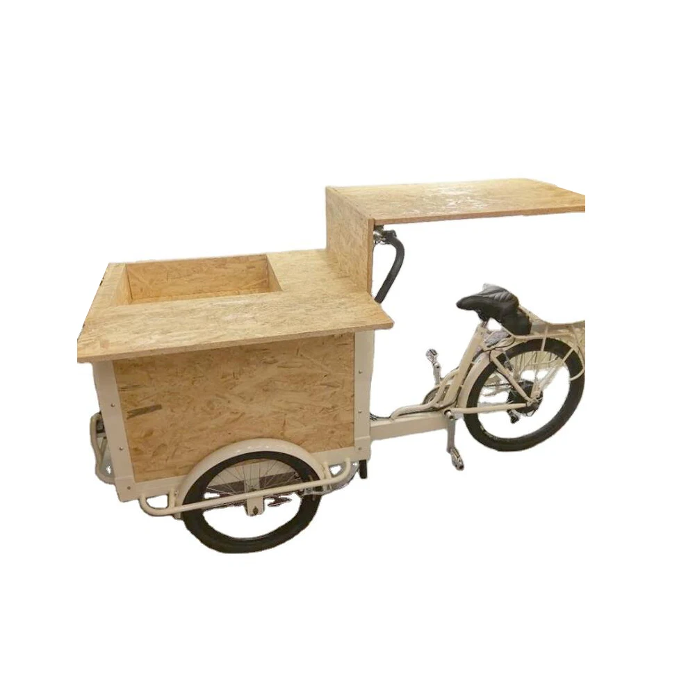 

Multi-function Coffee Cargo Bike Family Three Wheels Mobile food Vending Cart Adult Tricycle