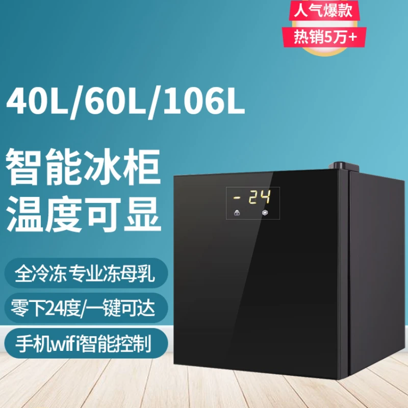 BD-40 Freezer Household Small Xiaoice Cabinet Mini Freezer