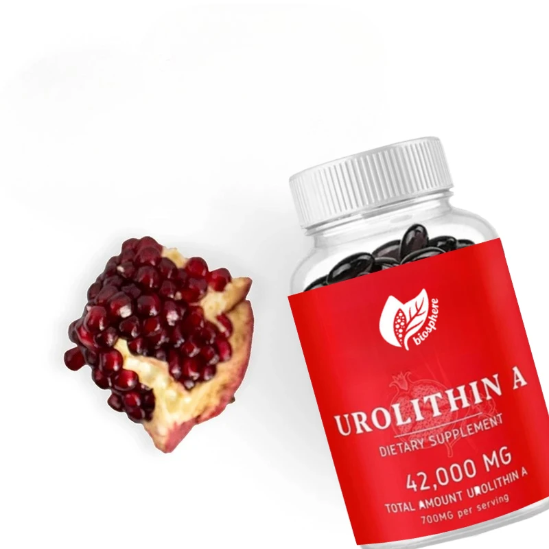 Urolithin A Supplement Capsules - Efficient Cell Support Supplement To Promote Healthy Aging and Microbial Balance