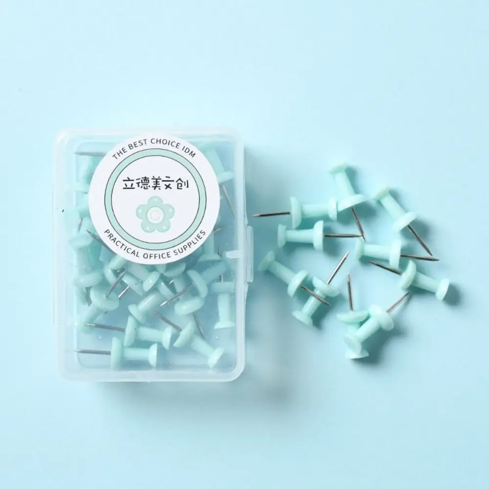 Boxed Macaron Color Pushpin Thumbtac Plastic Small Fresh Board Push Pin Fixing Pin Thumb Tacks Office