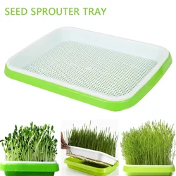 1PC Seed Sprouter Tray  Wheatgrass Sprouting Pot Planter Soilless Bean Culture Hydroponic Nursery Plate Cat Grass Bonsai Seeds