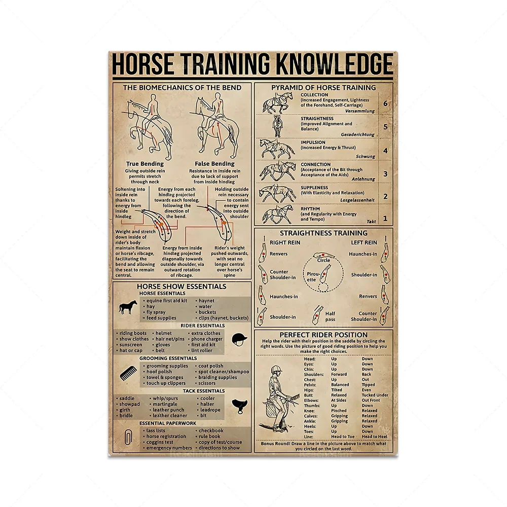 American Paint Horse Knowledge Poster, Horse Training Knowledge Poster, Cowboy Guide Anatomy, Farm Decor Home Decor