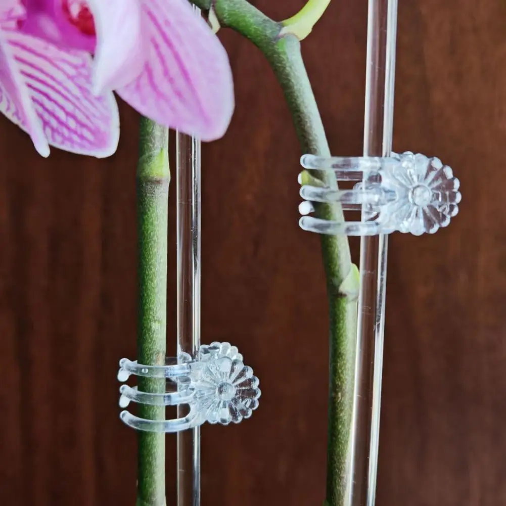 Phalaenopsis Support Clip Transparent Orchid Plant Clips Flower-shaped Garden Vine Supports Plastic Stem Fixers for Climbing