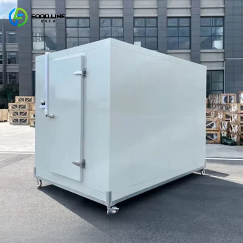 Customized High-Preservation High-Insulation Lightweight Walk in Freezer -60 Degree Cold Storage Room for Dairy Storage