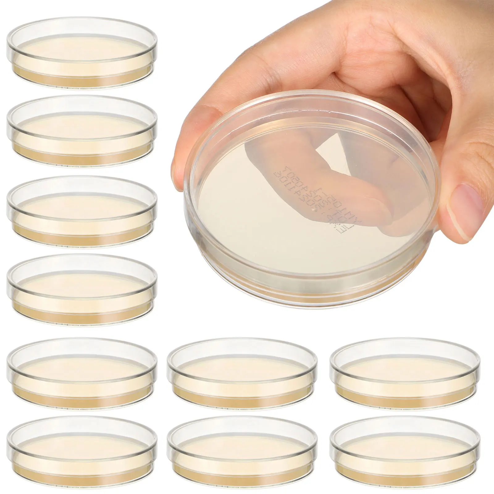 

6pcs 6 Pack Agar Plates Nutrient Petri Dishes Individual Pre Filled Poured Prepoured Pre-poured