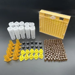 Sistema de cría de abejas King Queen, caja de plástico, cubierta de protección celular, Kit de apicultura, suministros de herramientas para abejas, 1 Juego