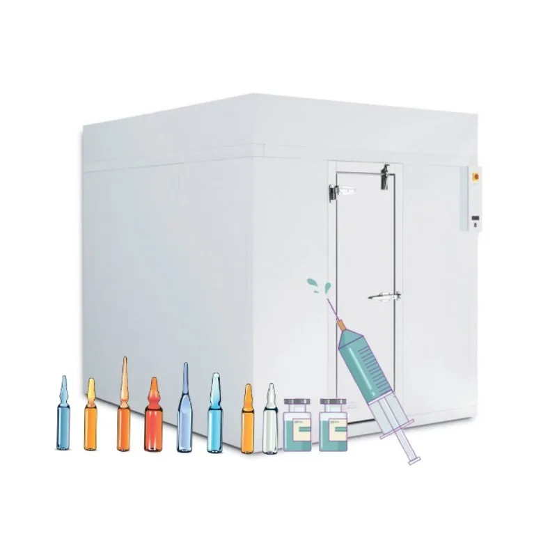 Paseo en la sala fría en el almacenamiento del congelador Sala de congelación personalizada de alta eficiencia para la conservación de carne, pescado y vegetales