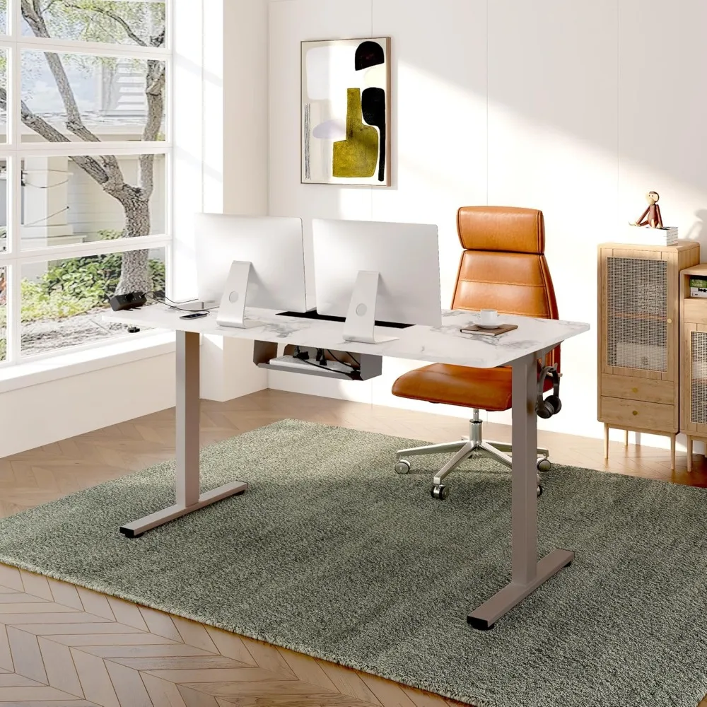 FLEXISPOT EN2 Whole-Piece Standing Desk with Clamp Power Strip, 48 x 24'' Electric Stand Up Height Adjustable Desk with Cable Ma