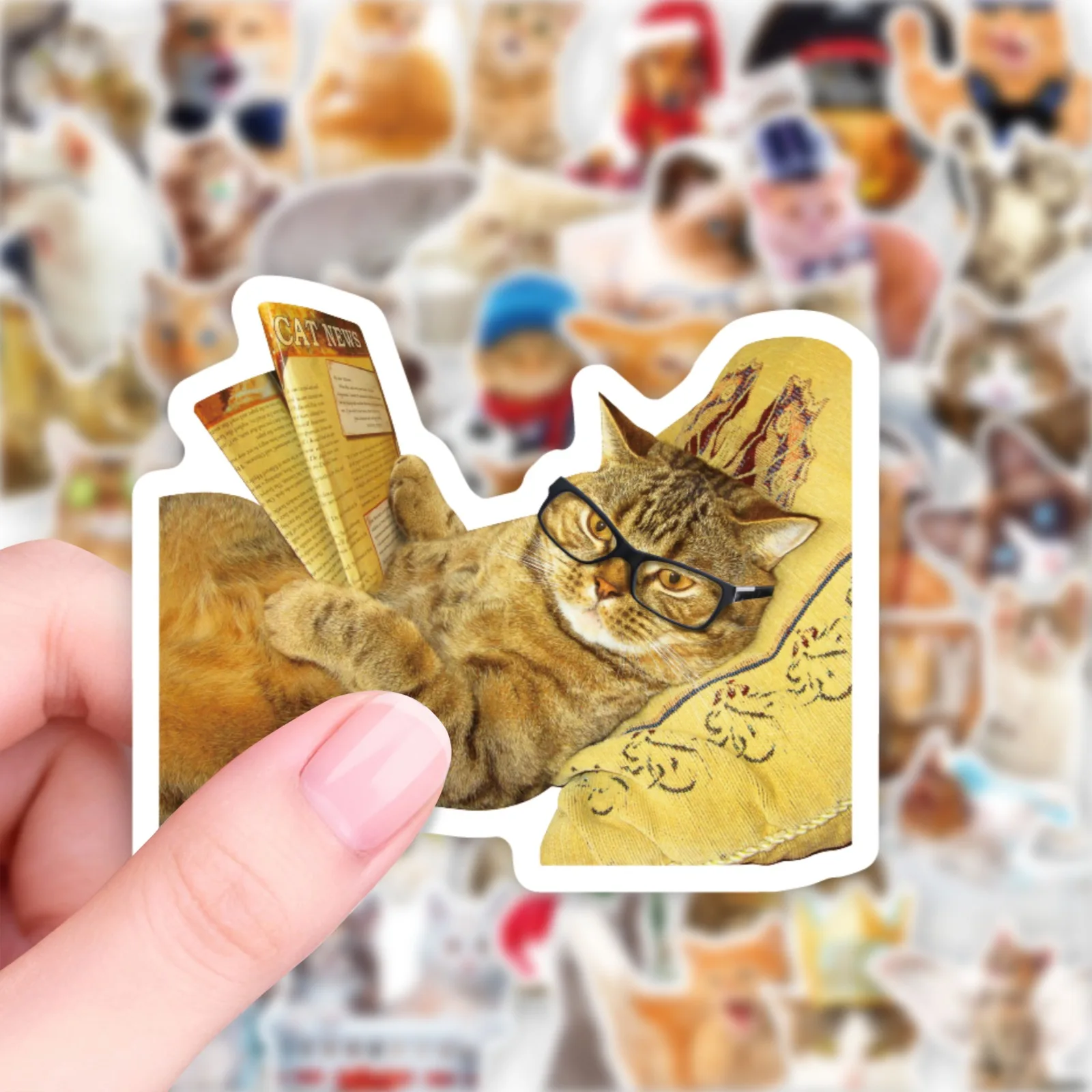 10/30/50Pcs Cute Kitty Stickers Cats, orange cat, ragdoll, tabby, hairless cat, British shorthair, Siamese pet cat stickers