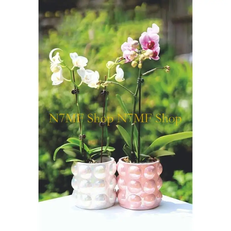 

N7MF Bubble Storage Jars Mold DIY Holder Tool Crafts Making Supplies Nonstick