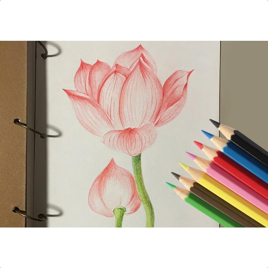 144 matite colorate matite colorate preaffilate per adulti bambini sfuse per il ritorno a scuola per insegnanti 12 colori scatola da 12 pezzi