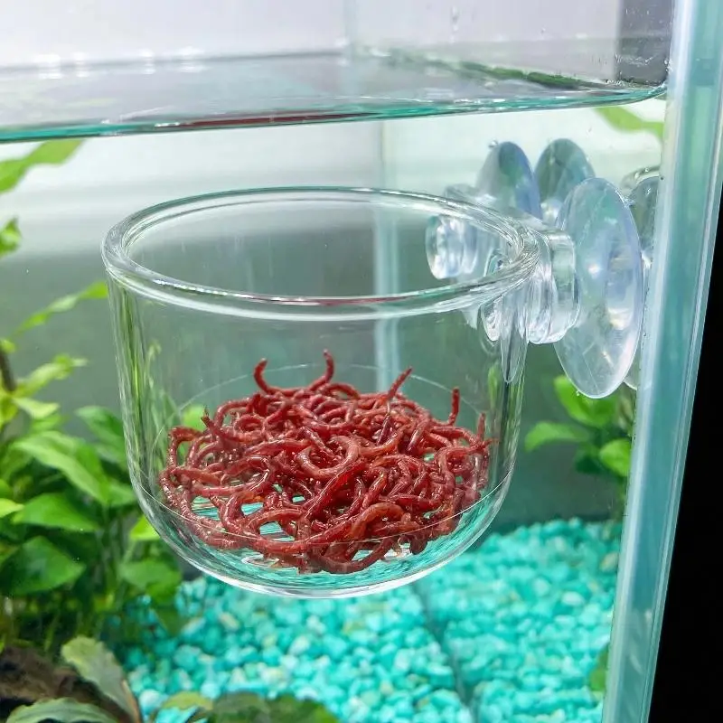 With Suction Feeding Container Aquarium AccessoriesTransparent Acrylic Aquatic Plant Cup Aquarium Fish Tank Plant Pot