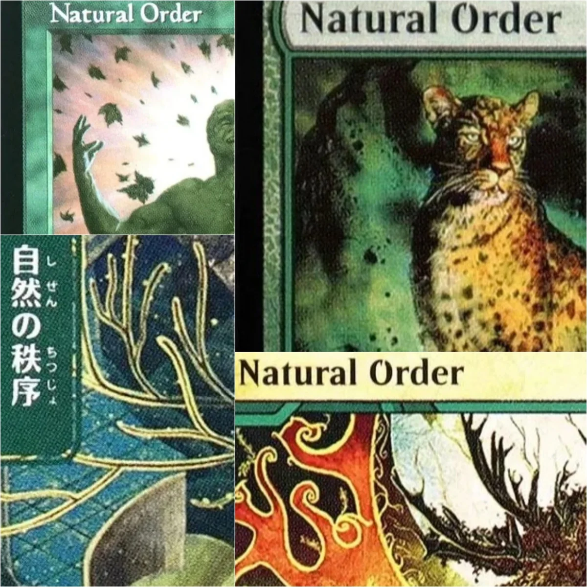 'Natural Order' High Custom TCG Proxy Black Top Quality Proxy Playing Cards Board Game Trading Cards