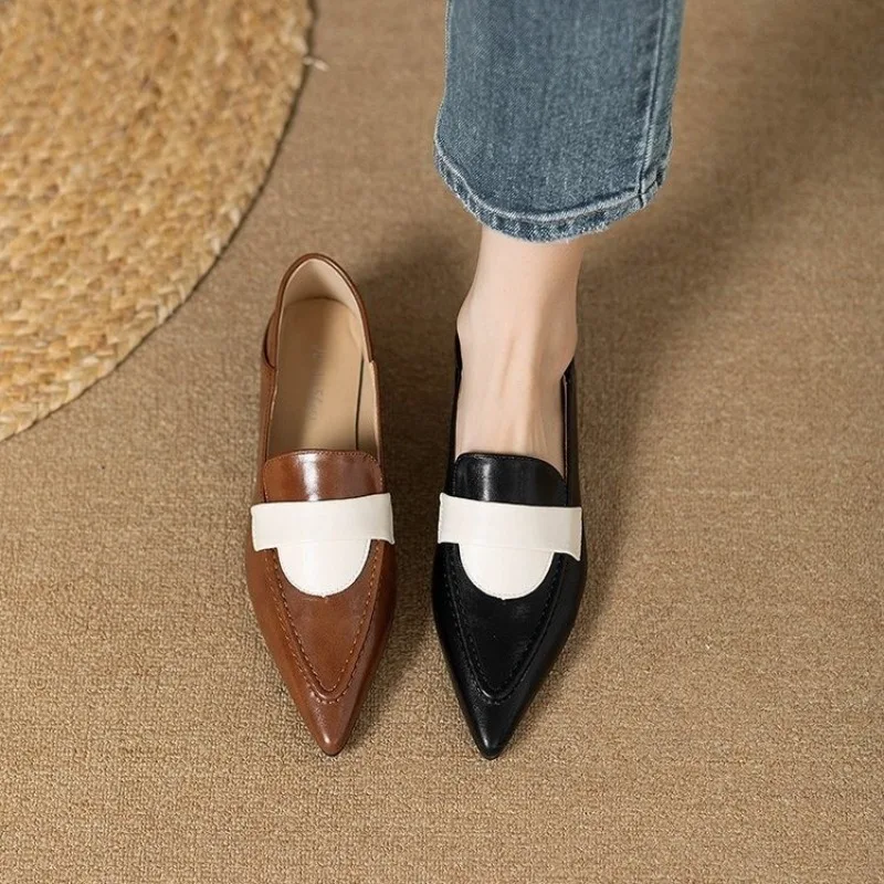 New 2024 Spring Women's Mary Jane Shoes Shallow Pointed Toe Women's Elegant Low Heel Women's Casual Shoes