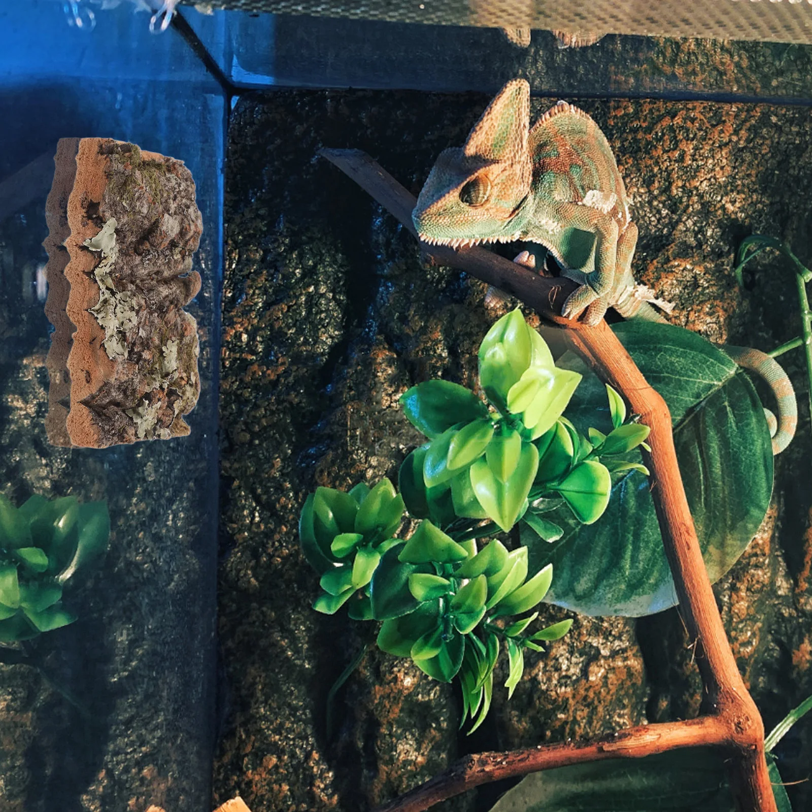 

Cork Bark Decor -Hue Tree Bark For Reptile Tank Fish Aquarium Wall Plant Terrarium Background Lizard Climbing