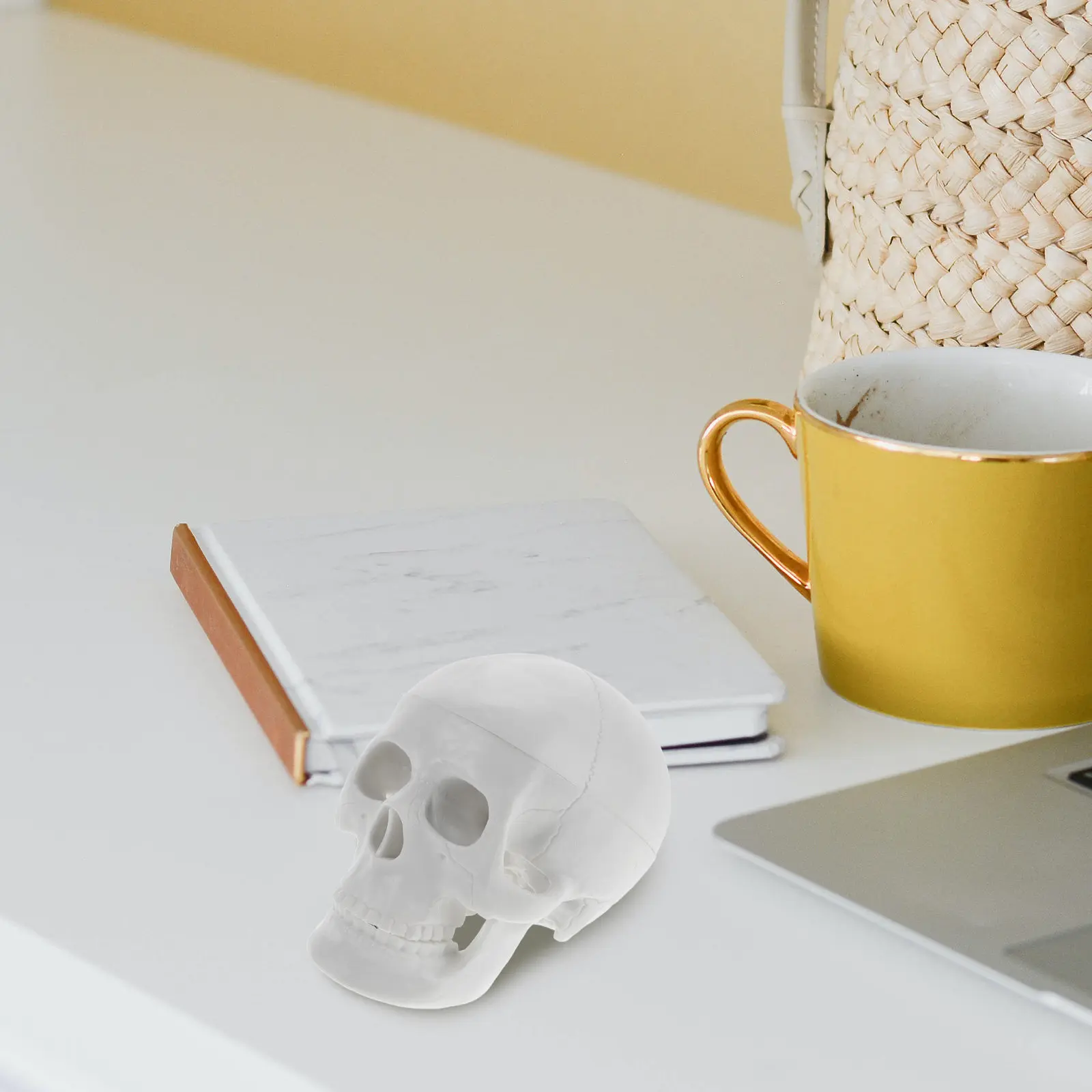Anatomy Skull for Studying Decorative Skulls Fake Simulation PVC Mini Human Figurine