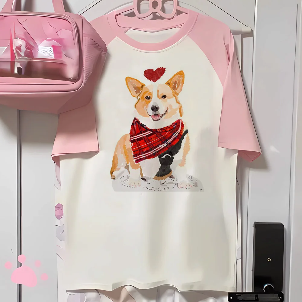 corgi