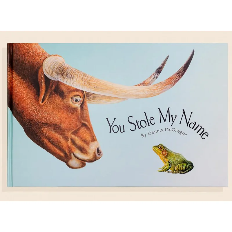 

You Stole My Name Mcgregor Dennis Blue Star 9781941325988 Book