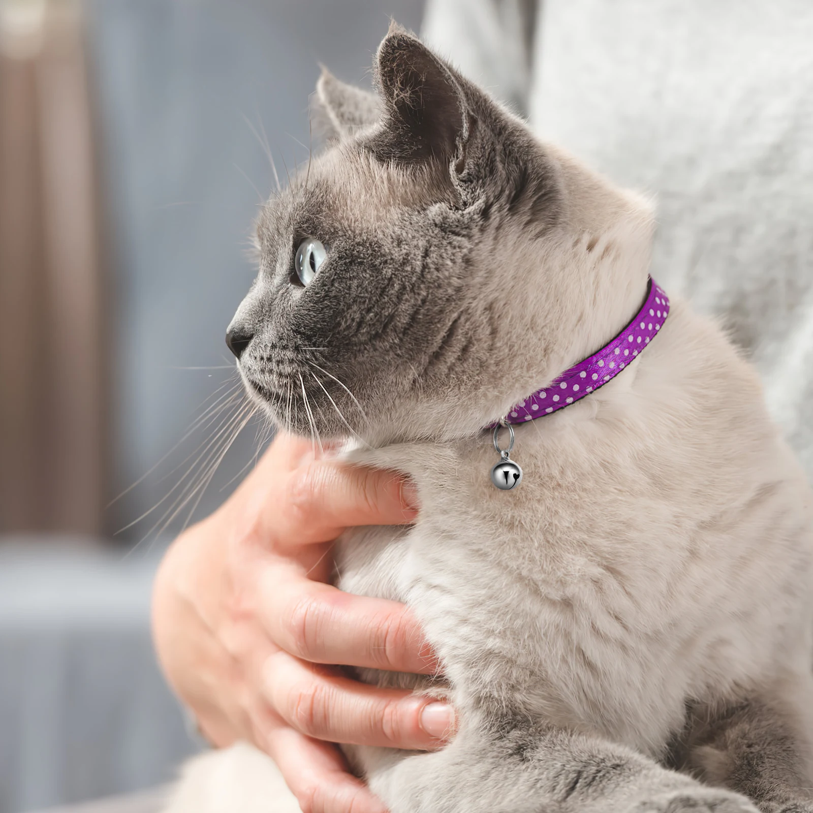 

6Pcs Adorable Pet Bells Copper Hang-On Accessories For Small Dogs And Cats With Unique Sound
