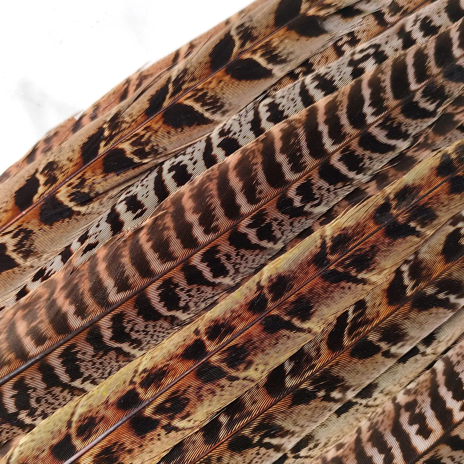 10 قطعة 25-30 سنتيمتر الدجاجة الطبيعية الدراج الذيل الريش جميلة جميلة أعمدة Diy بها بنفسك غطاء الرأس المهرجانات مجوهرات إبداعية الحرف اليدوية