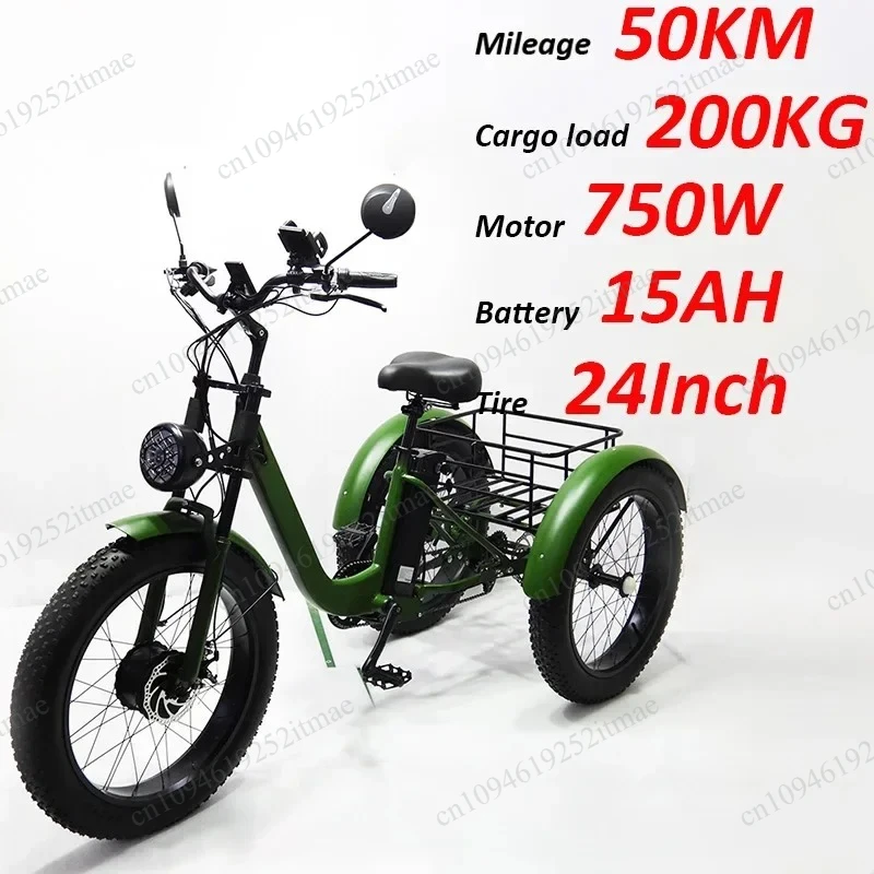 Adult 3‑Wheel Fat Tire Electric Tricycle 750W 48V 18AH Removable Battery 200KG Max Load