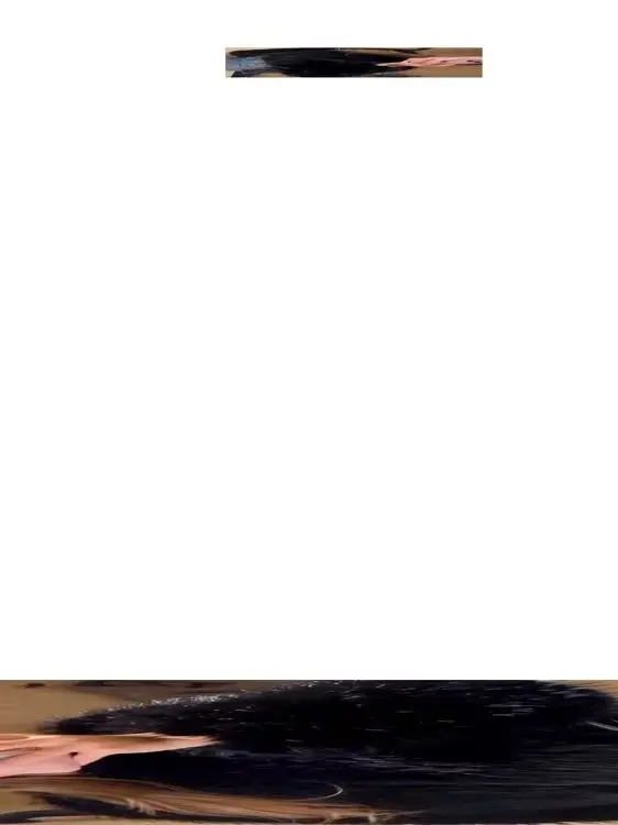 

HH Women Warm Casual Artificial Fur Effect Round Collar Short Top Winter Women's Long Sleeve Fashion Solid Streetwear Top