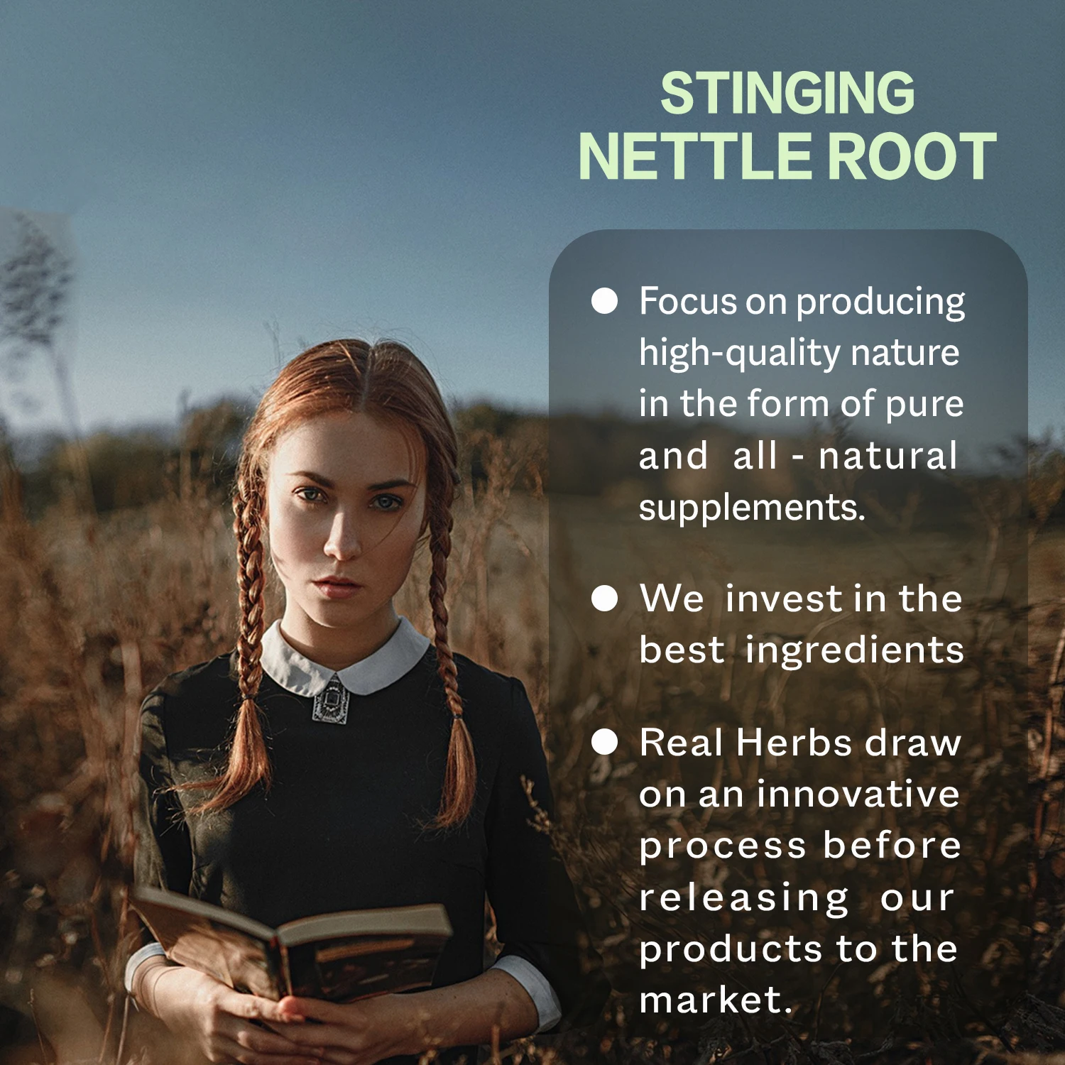 Stinging Nettle Root Extract - Promotes Prostate and Urinary Tract Health, Promotes Hair Growth, Reduces Urinary Frequency