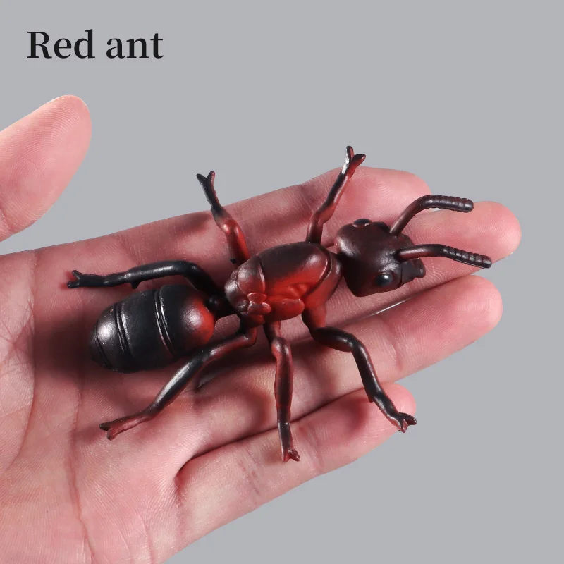 محاكاة الحشرات الصلبة نماذج للحيوانات النمل Arthropod عمل أرقام ألعاب معرفية تعليمية للبنين والبنات هدايا الأطفال