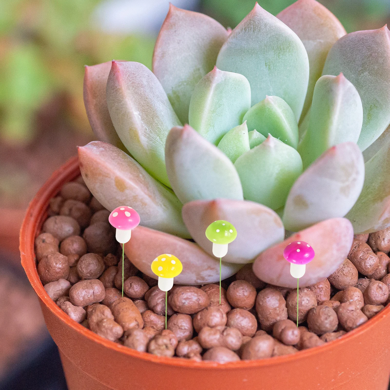 60 قطعة فطر صغير ملون مختلط الحجم S الجنية حديقة العصي الزخرفية لحديقة صغيرة العصارة الحاويات ديكور النبات