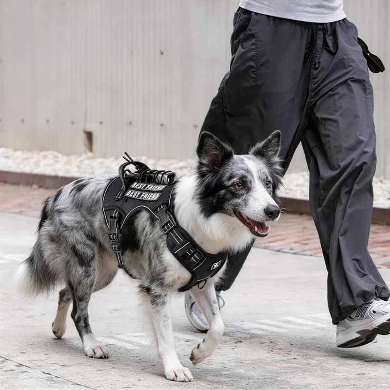 Taktisches Hundegeschirr für G – No Pull Dog Harness Bewertung und Preis