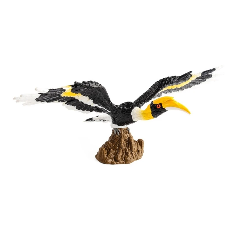 Figurine d'oiseau Toucan réaliste, modèle Animal, collection loisirs, décors bureau D5QA