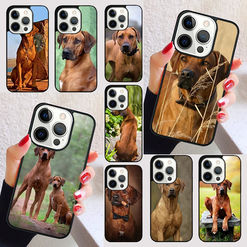 Rhodesian Ridgeback Dog cover For iPhone 15 16 13 12 11 14 Pro Max Mini Max SE 2020 7 8 6S Plus Phone Case