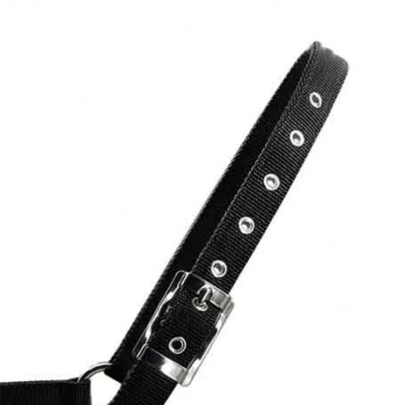 Adjustable Nylon Webbing Equestrian Western Horse Halter Horse Riding Wear Black XS S M L XL Ergonomic Comfortable Halters