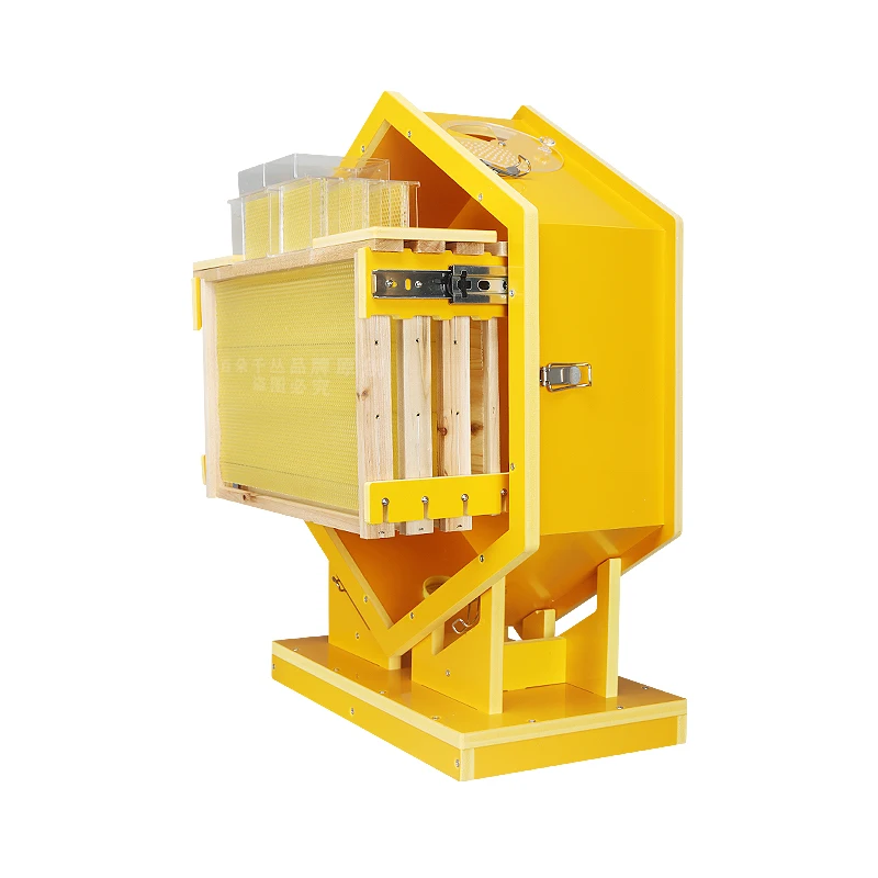Wall-mounted beehives Indoor bee farming Ornamental beekeeping appliances 2025 limited edition