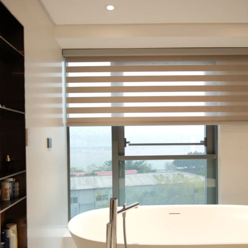 

Smart Zebra Blind for Window, Motorized Roller Shades, Day and Night Blinds for USA Canadian Window