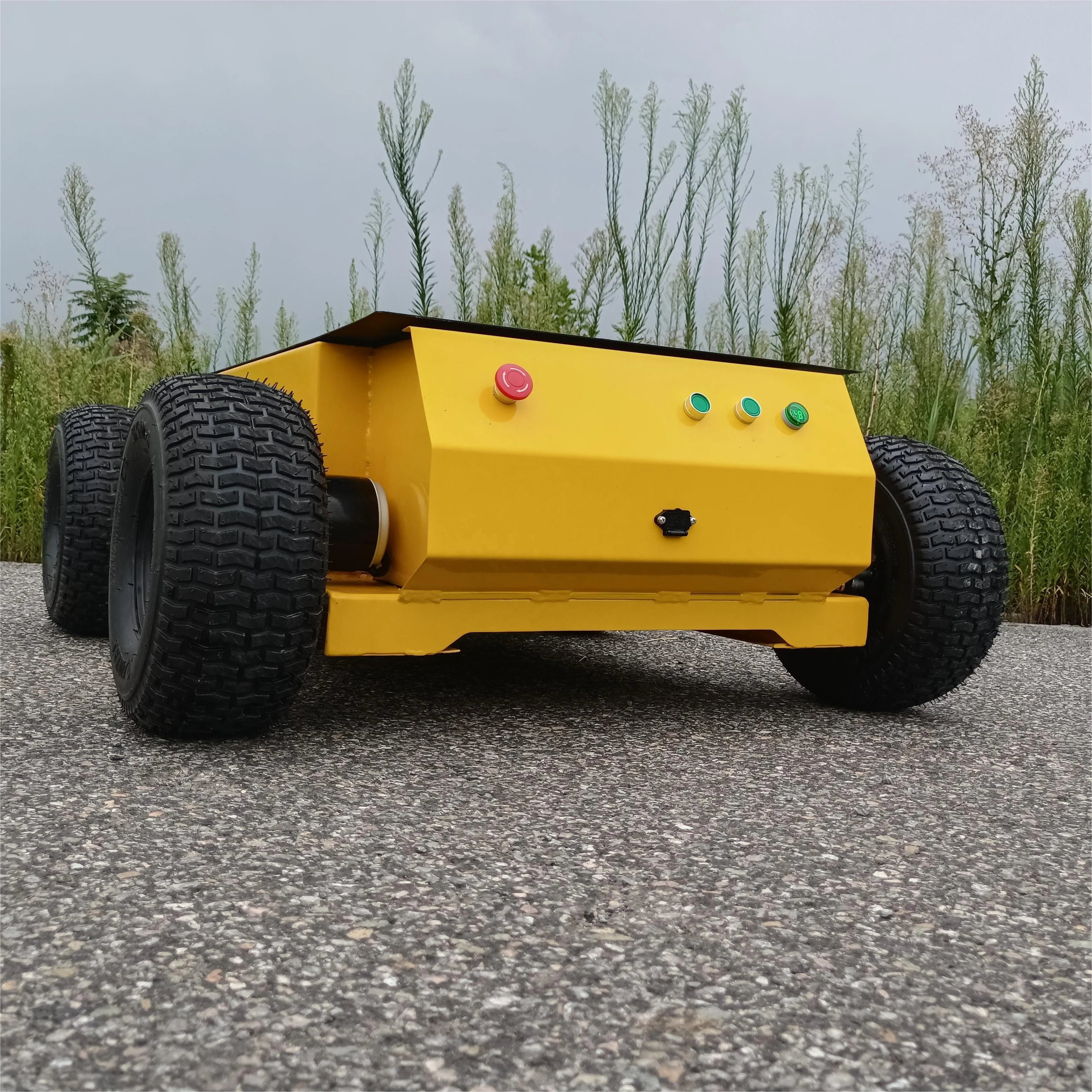 

Payload 300kg Economical High Speed Remote Control Tracked Chassis Frame