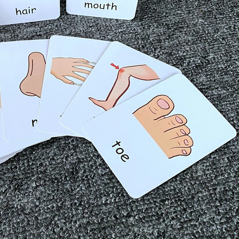 

Early Education Gift Set:Life scenario matching cards, Montessori-certified teaching aid for comprehensive cognitive development