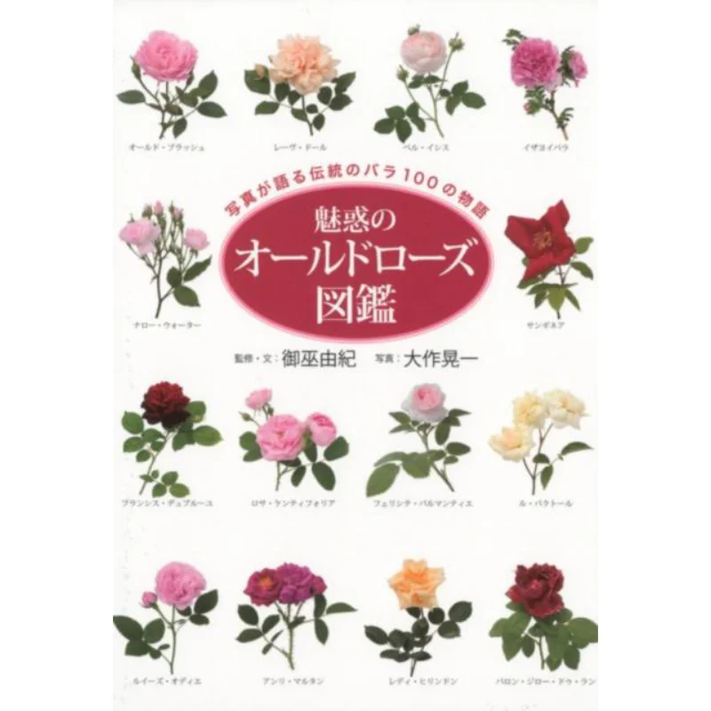 The Enchanted Old Rose Encyclopedia Yuki Miyu Koichi Daisaku Sekai Bunka 9784418184040 Book