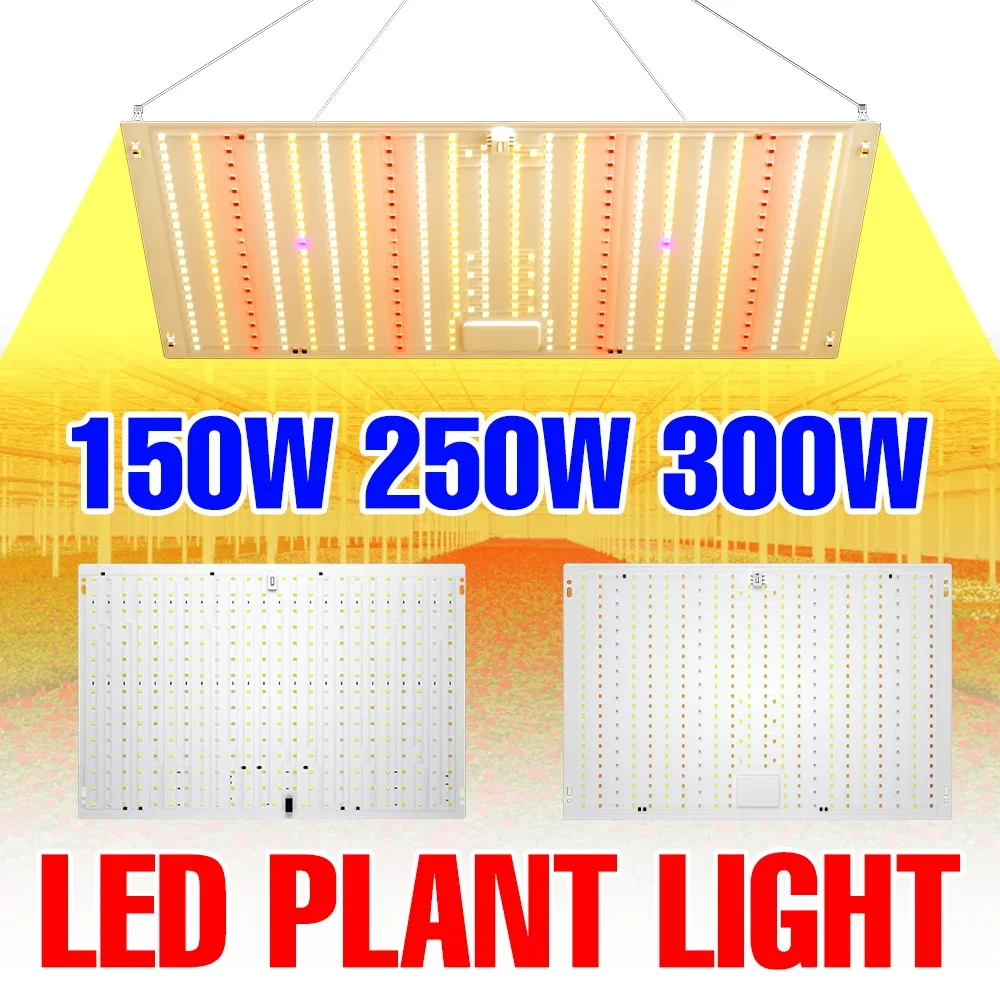 

300W Full Spectrum LED Grow Light 220V Quantum Board Plant Fill Lamp Indoor Greenhouse Tent Vegs Flower Fruit Cultivate Lighting
