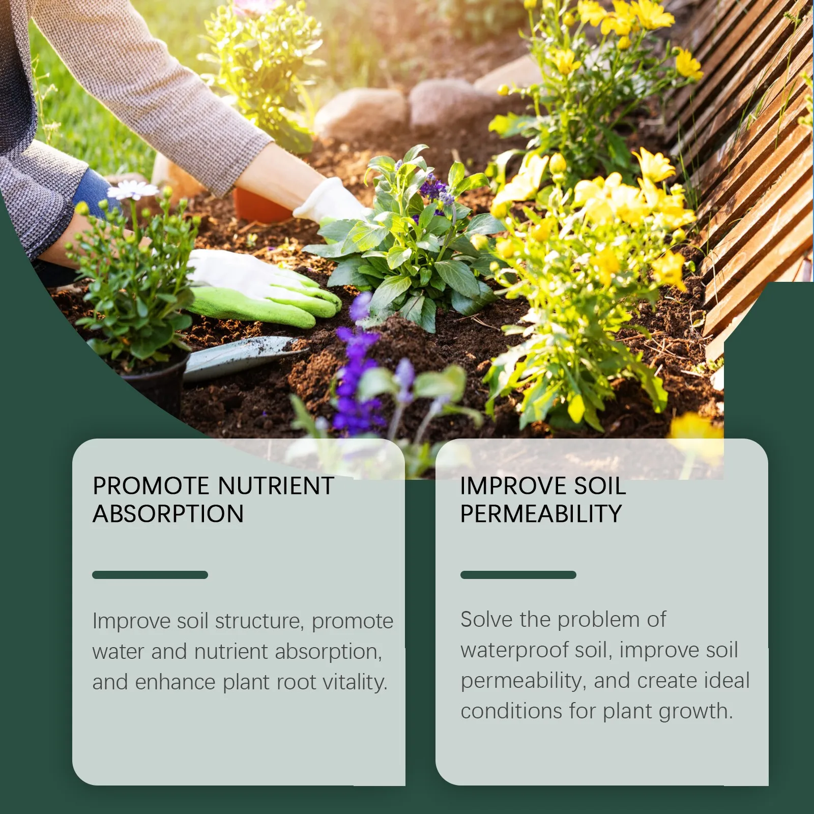 محلول مغذيات النباتات الاستوائية 100 مللي قطرات الأسمدة النباتية الاستوائية لنمو نباتات آكلة اللحوم السائلة