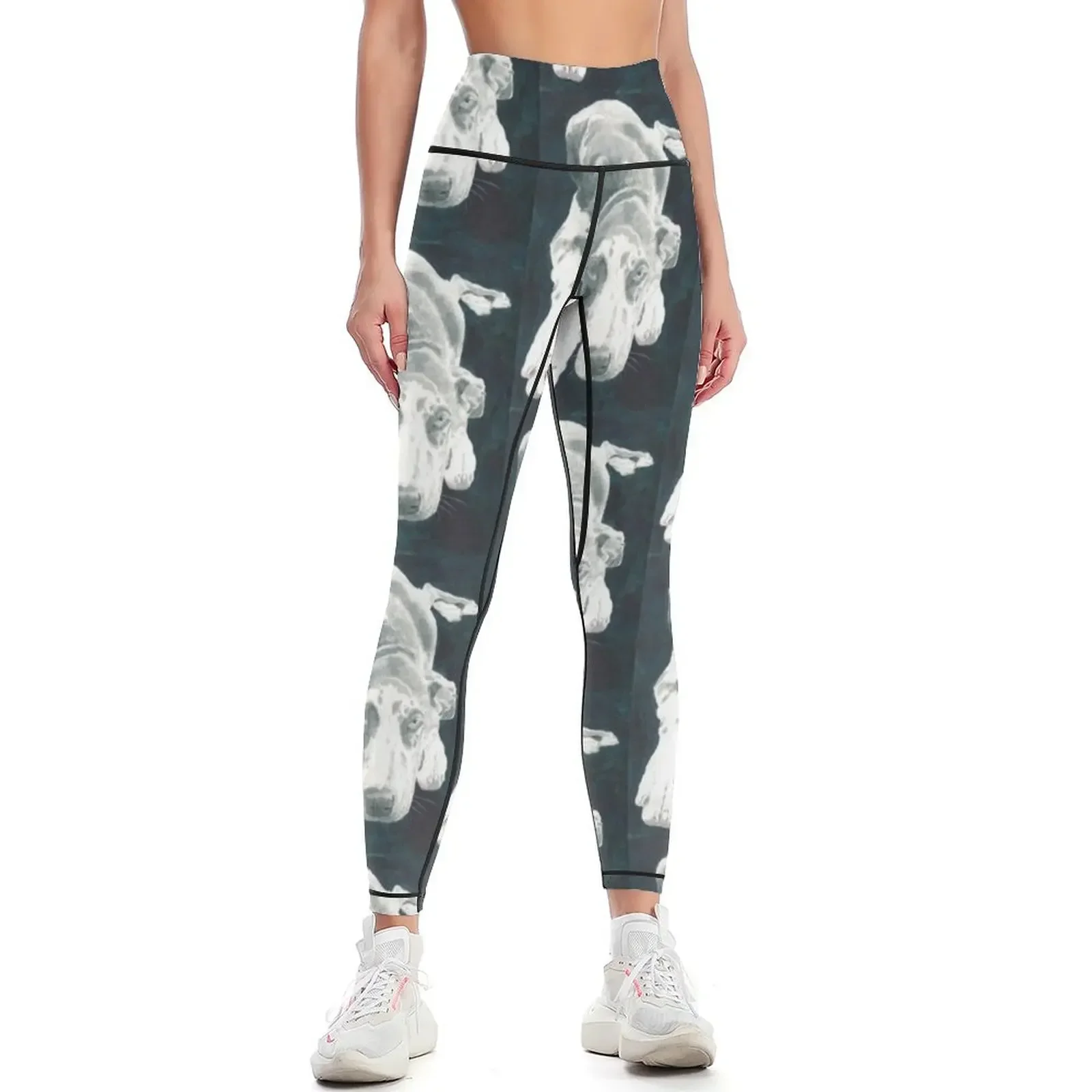 Great Dane Leggings Fitness woman Tight fitting woman Sports pants woman Leginsy push up Womens Leggings