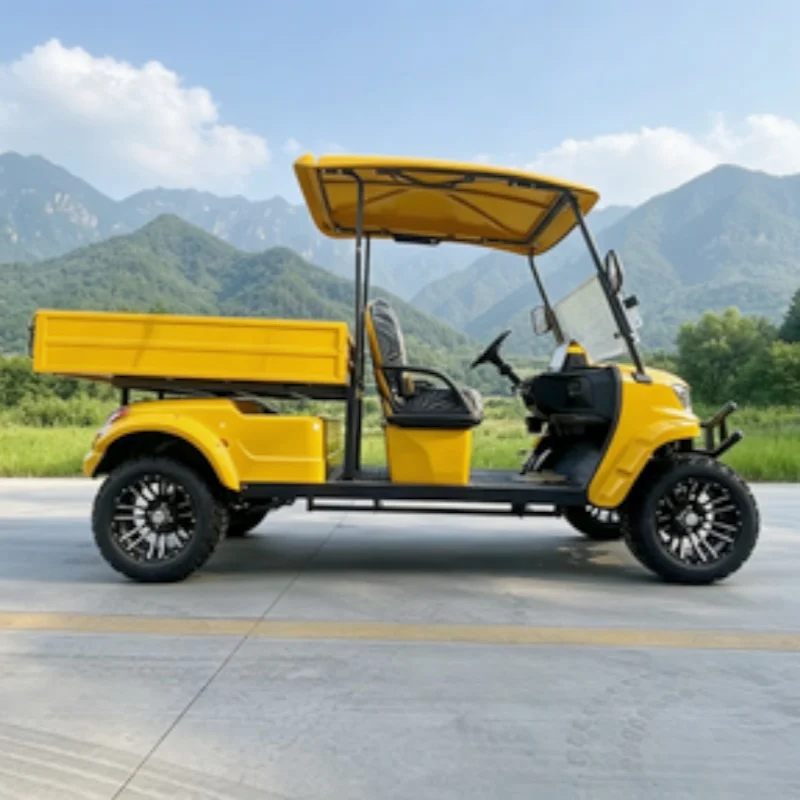 Upgraded Off-Road Electric Golf Cart 2 Seats 4KW/5KW All Terrain Golf Buggy Lithium Battery Bumper Off-Road Tires Rear Cargo Box