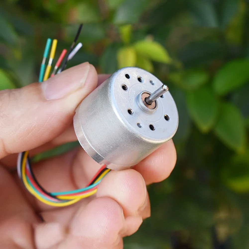 310 motore Brushless DC 12V 6400RPM azionamento integrato CW CCW muto rotore interno DC motore elettrico PWM regolazione della velocità per barca modello