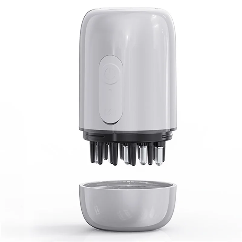 

Beauty Electric Scalp Massager Andhair Oil Applicator Scalp Treatment Dispenser Rechargeable A