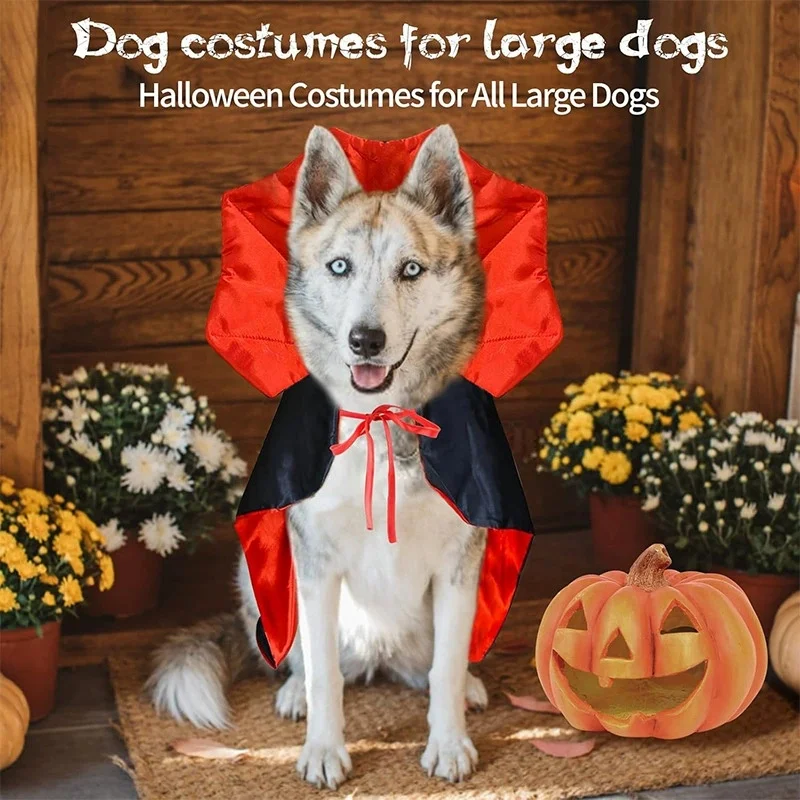 Halloween-Haustierumhang mit Fledermausflügeln, verstellbarer Vampirumhang für Welpen, Kätzchen, Hunde und Katzen, ideal für Cosplay-Partys und Feiertagsdekorationen. – Detail 7