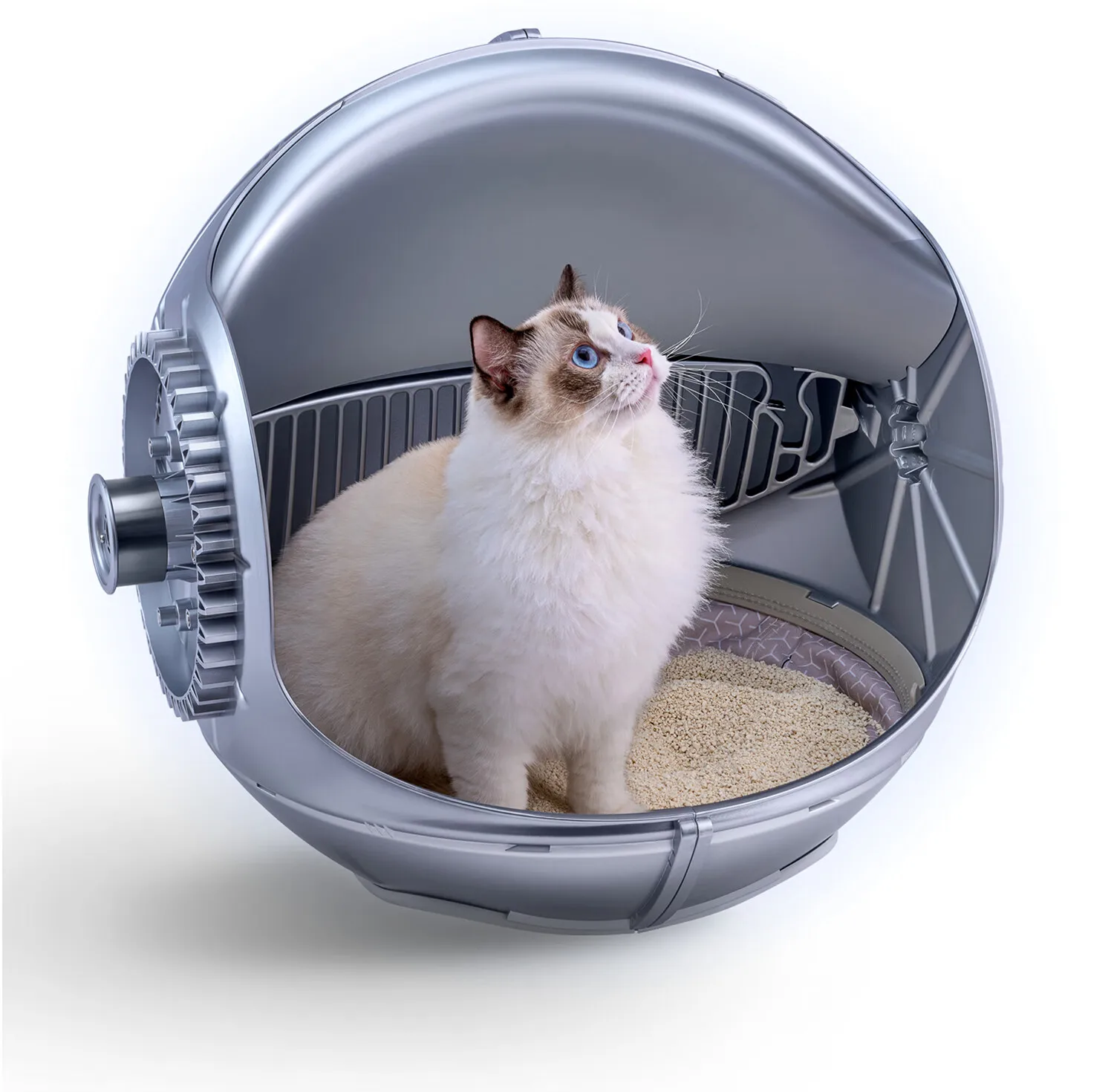Smart Electric Self-Cleaning Smart Automatic Cat Box Low Noise App WiFi Touch Control Easy Cleaning Plastic