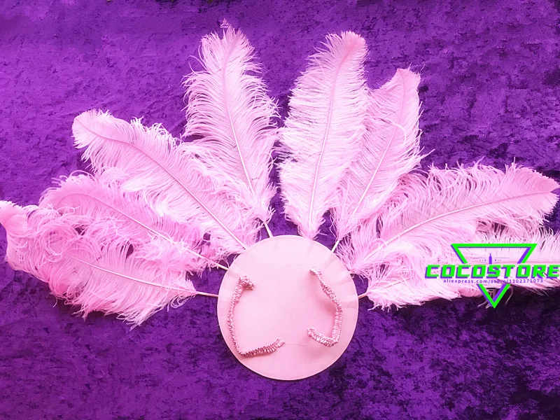 Samba Carnival Costume Brazilian Dancer Feathers Flower Backboard Feather Dance Costumes Opening Show Back Plate