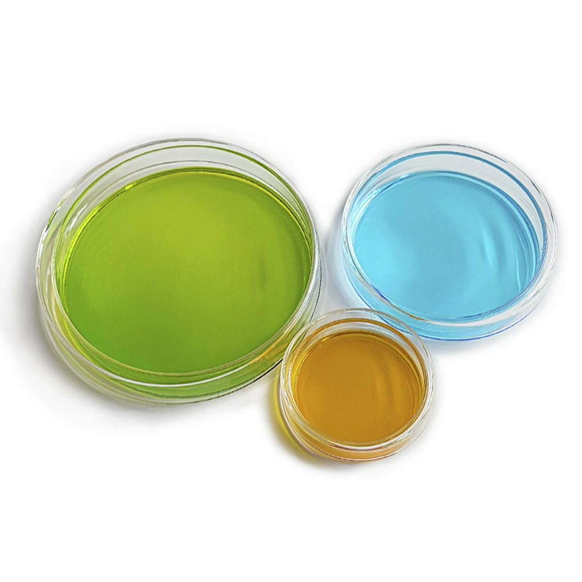 

10 Pcs Petri Dish Culture for Bacteria Dishes with Lid Laboratory Supplies