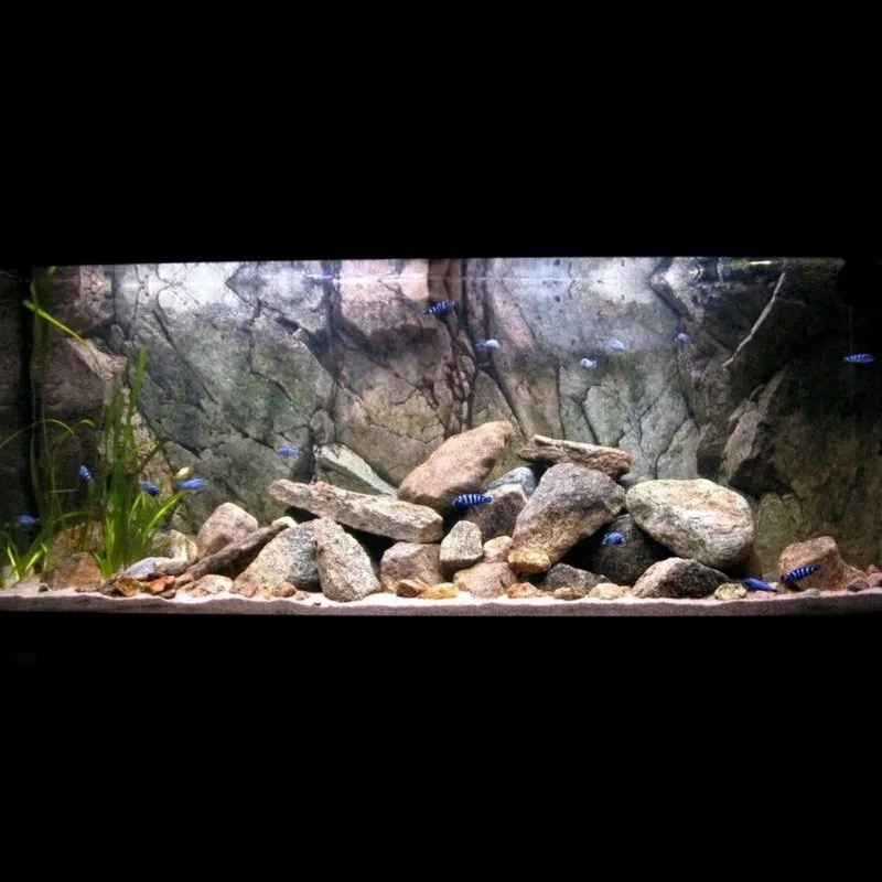 

Fish tank background panel, fish tank three-dimensional landscaping material