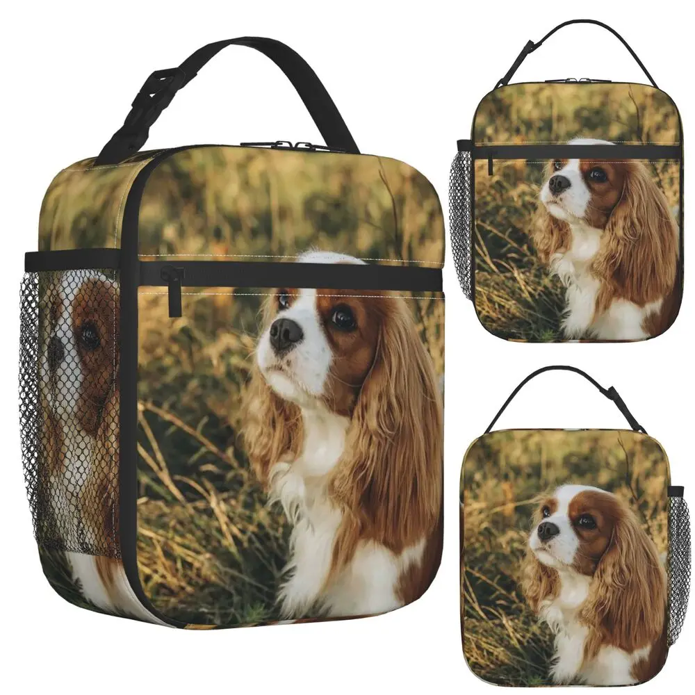 Custom Cavalier King Charles Spaniel Square Insulated Lunch Bag for Women Children Portable Food Boxes Thermal Lunch Box Tote